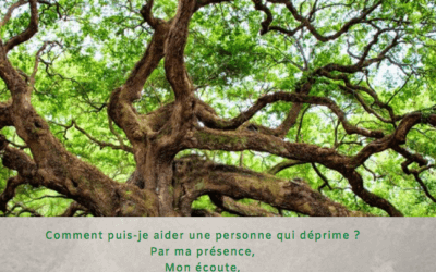 Citation 3