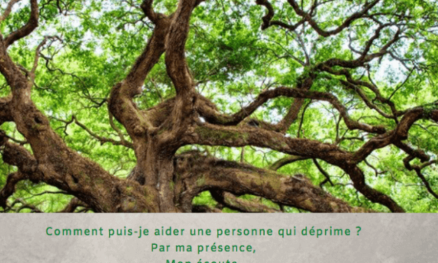 Citation 3