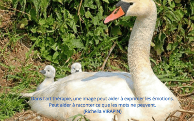 citation 2