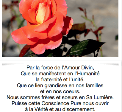 La force de L’Amour