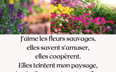 Les fleurs sauvages