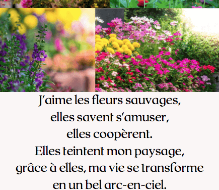 Les fleurs sauvages