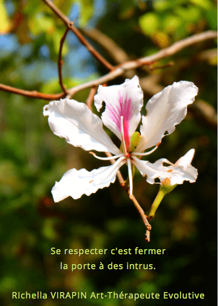 Carte conscience 1