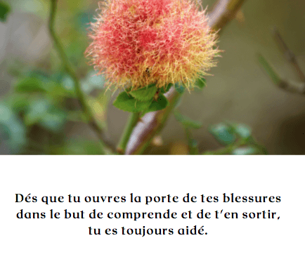 Carte conscience 2