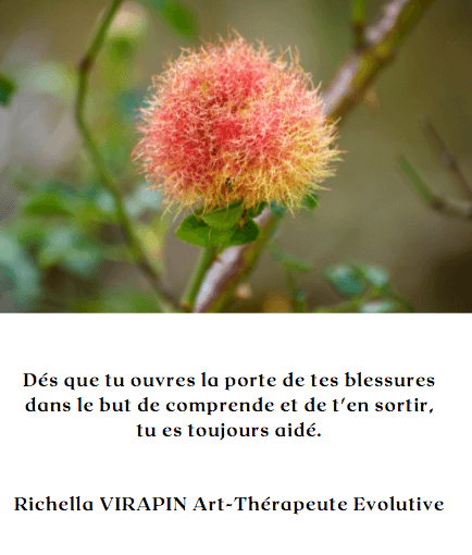 Carte conscience 2